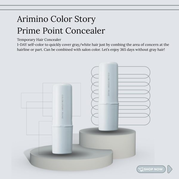 Arimino Point Concealer